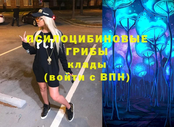 прущая мука Бородино