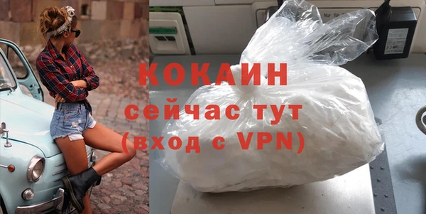 сатива Бронницы