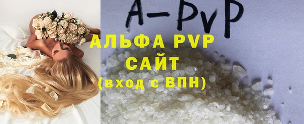 сатива Бронницы