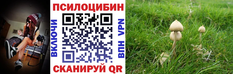 shop как зайти  Биробиджан  Галлюциногенные грибы Psilocybe 