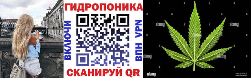 Конопля конопля  Биробиджан 
